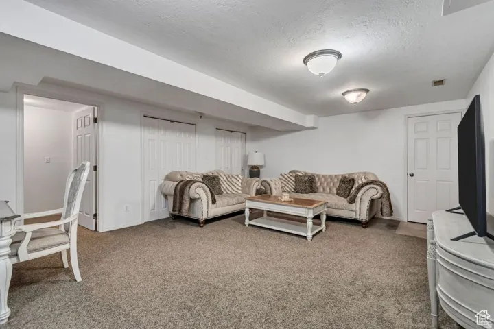 Carpeted room with white walls, two flush-mount ceiling lights, and multiple white panel doors