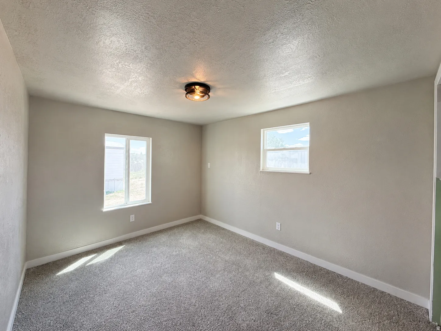 Neutral-toned walls complement the textured gray carpeting