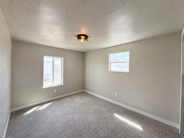 Neutral-toned walls complement the textured gray carpeting