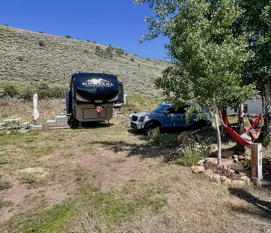 Expansive open land featuring natural grass, mature trees, and a mountain backdrop