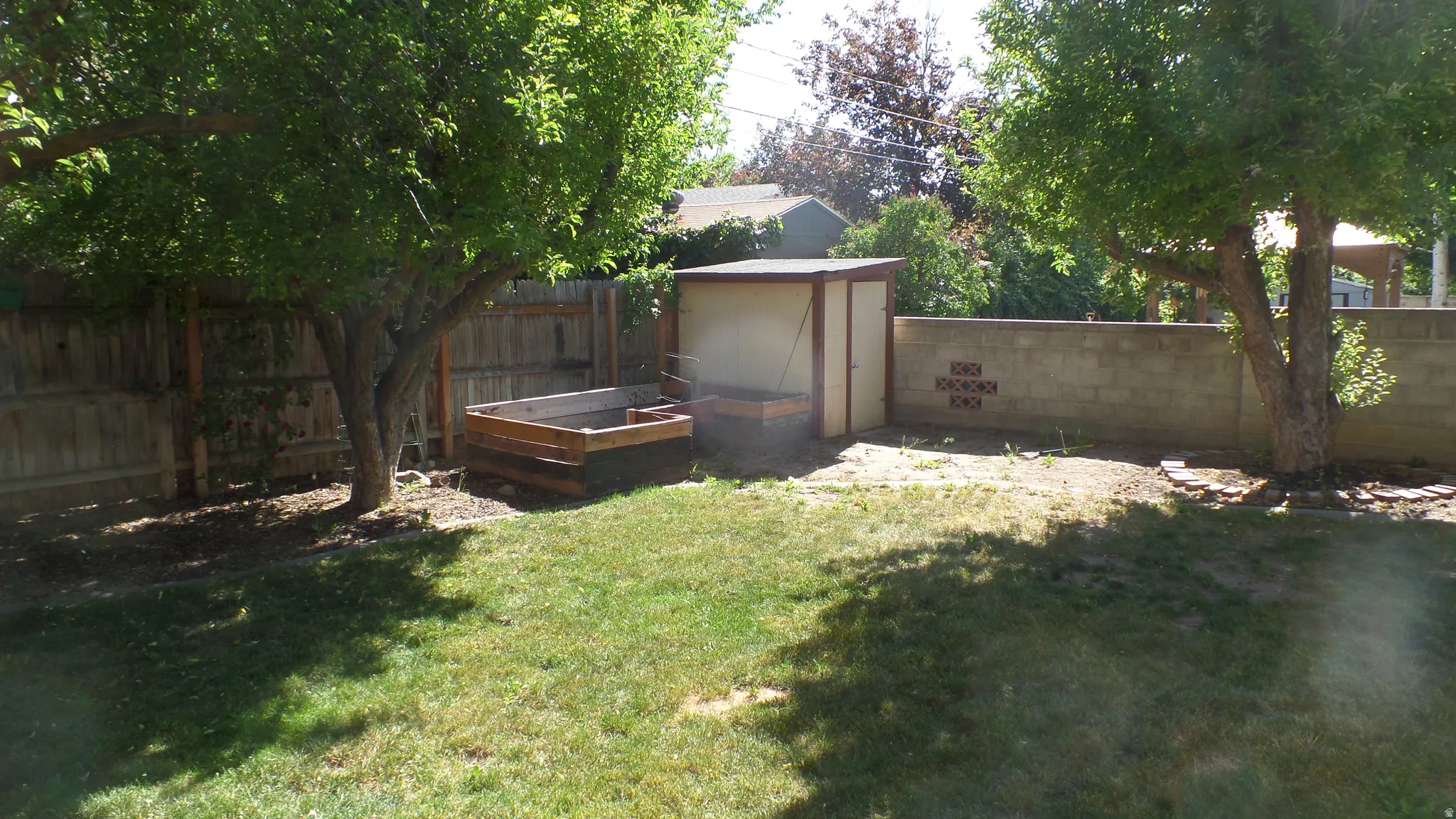Expansive Fully Fenced Backyard - Featuring Mature Fruit Trees & Storage Shed
