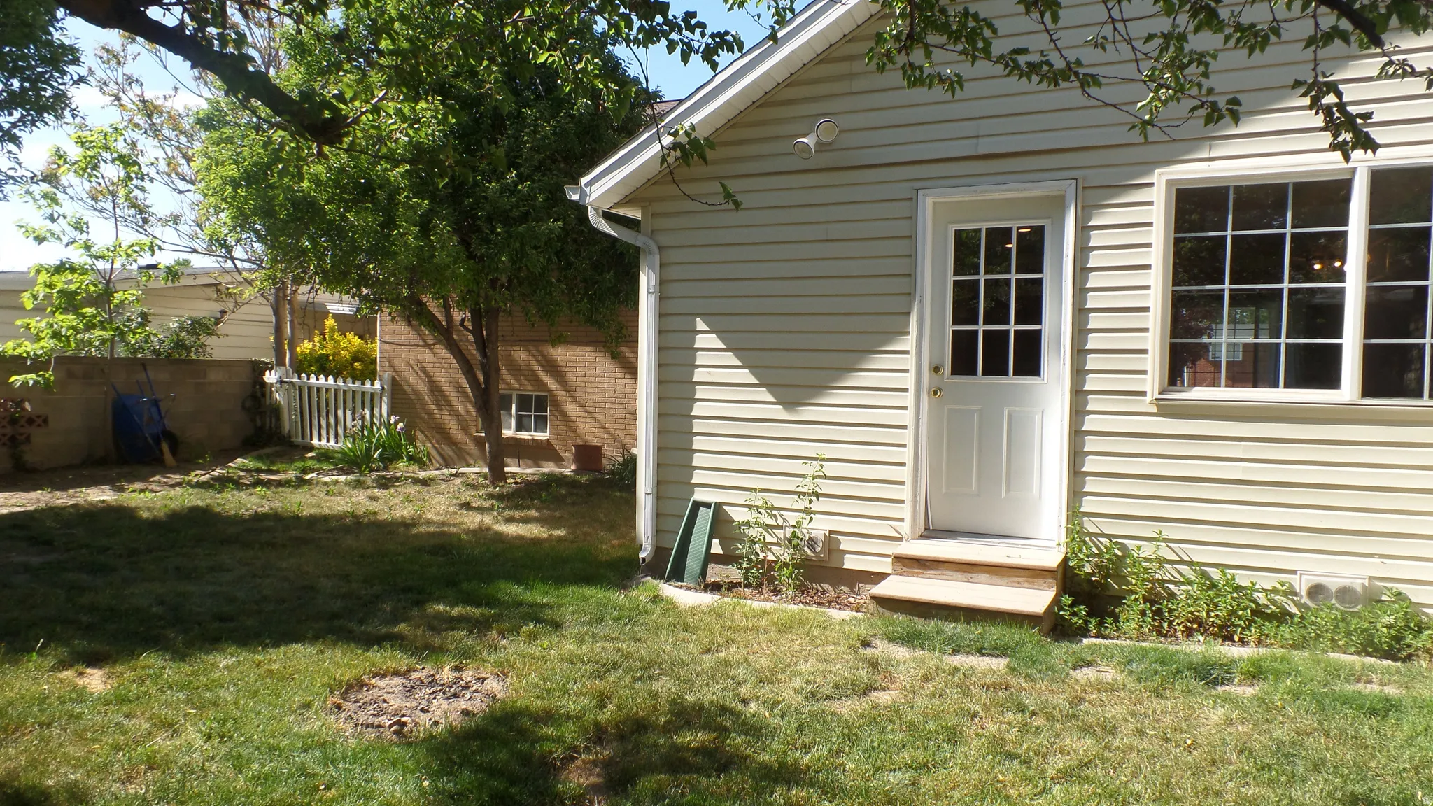 Expansive Fully Fenced Backyard - Featuring Mature Fruit Trees & Back Door into House