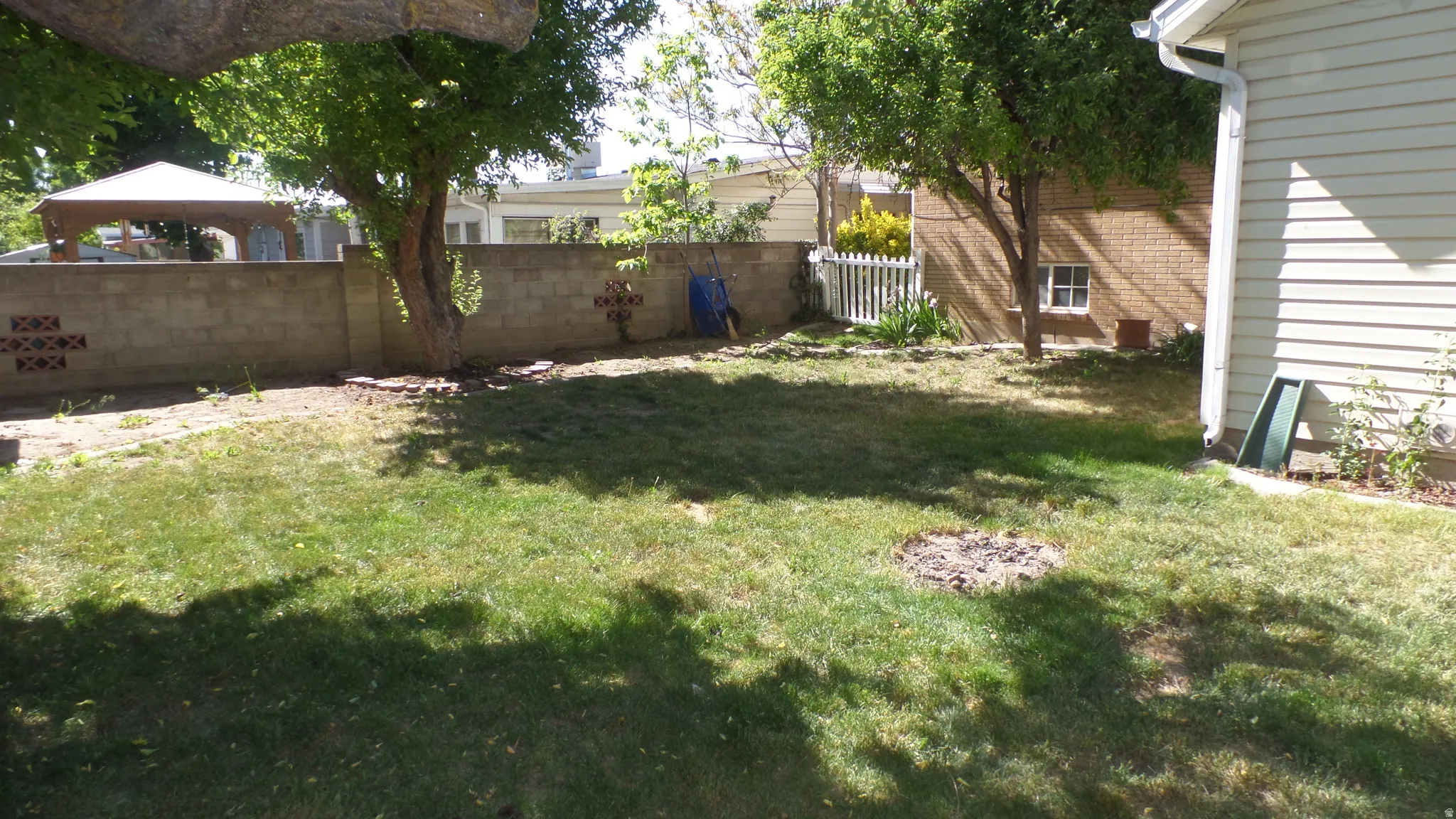 Expansive Fully Fenced Backyard - Featuring Mature Fruit Trees & Storage Shed