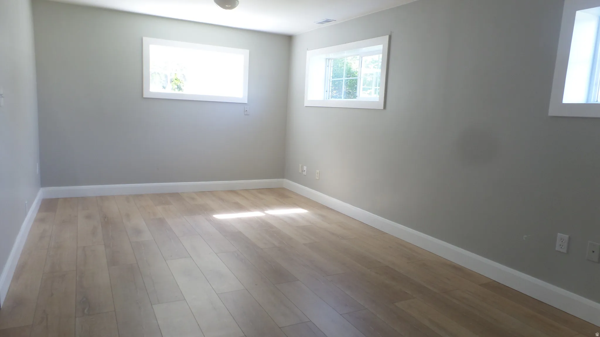 Basement Level 1 - Large & Bright Family Room