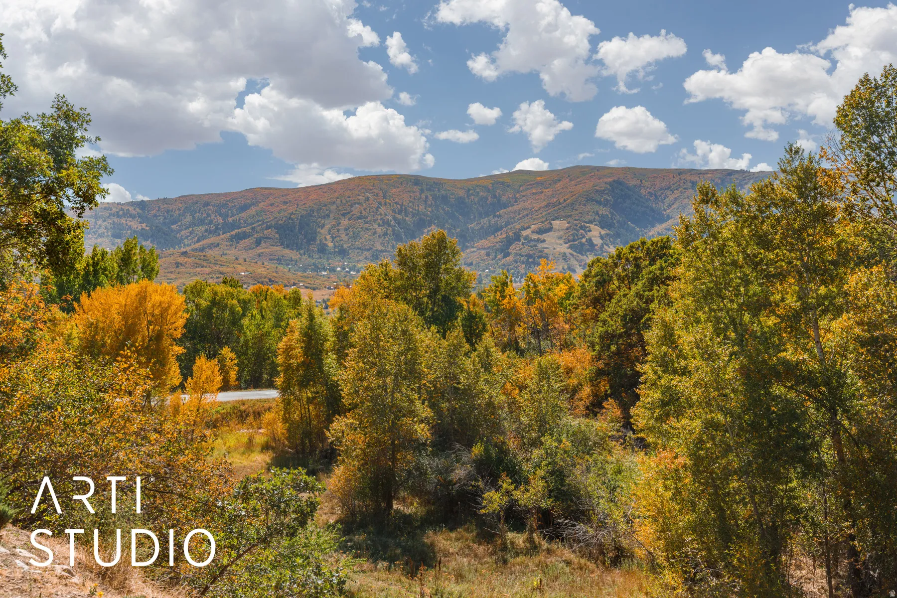 Distant mountain landscape featuring varied tree coverage and a bright sky with scattered clouds