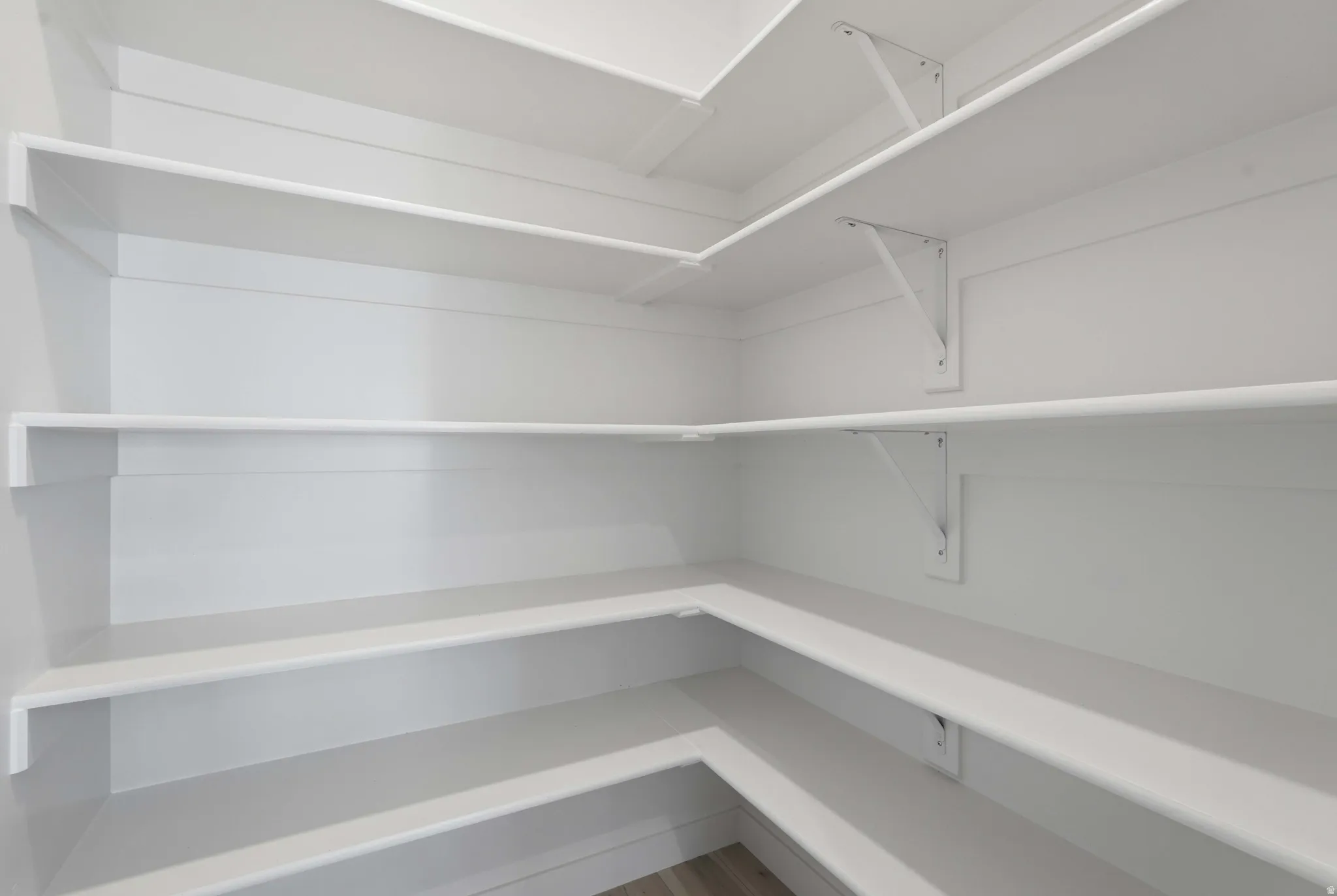 Expansive pantry featuring multiple levels of white shelving, support brackets, and wood-finish flooring