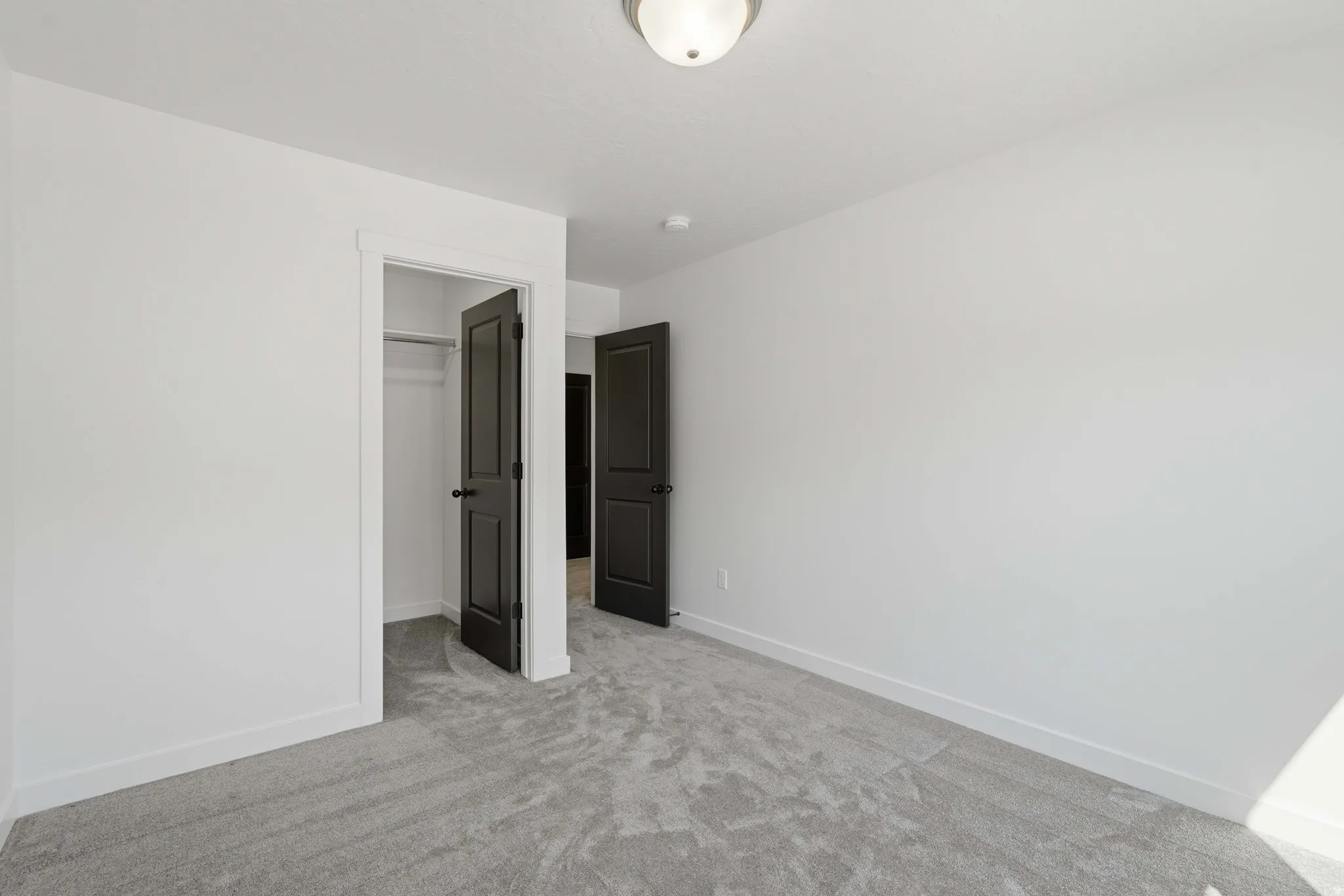 Bright room featuring light gray carpet, white walls, and dark paneled interior doors