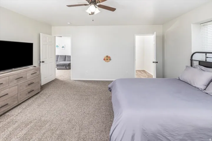 Spacious bedroom featuring carpet flooring, a ceiling fan with integrated lighting, and multiple doorways offering access to other areas