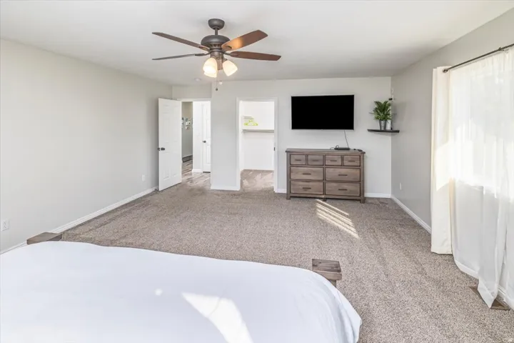 Spacious carpeted room featuring a ceiling fan with integrated lighting, a wall-mounted television, and a window with sheer white curtains