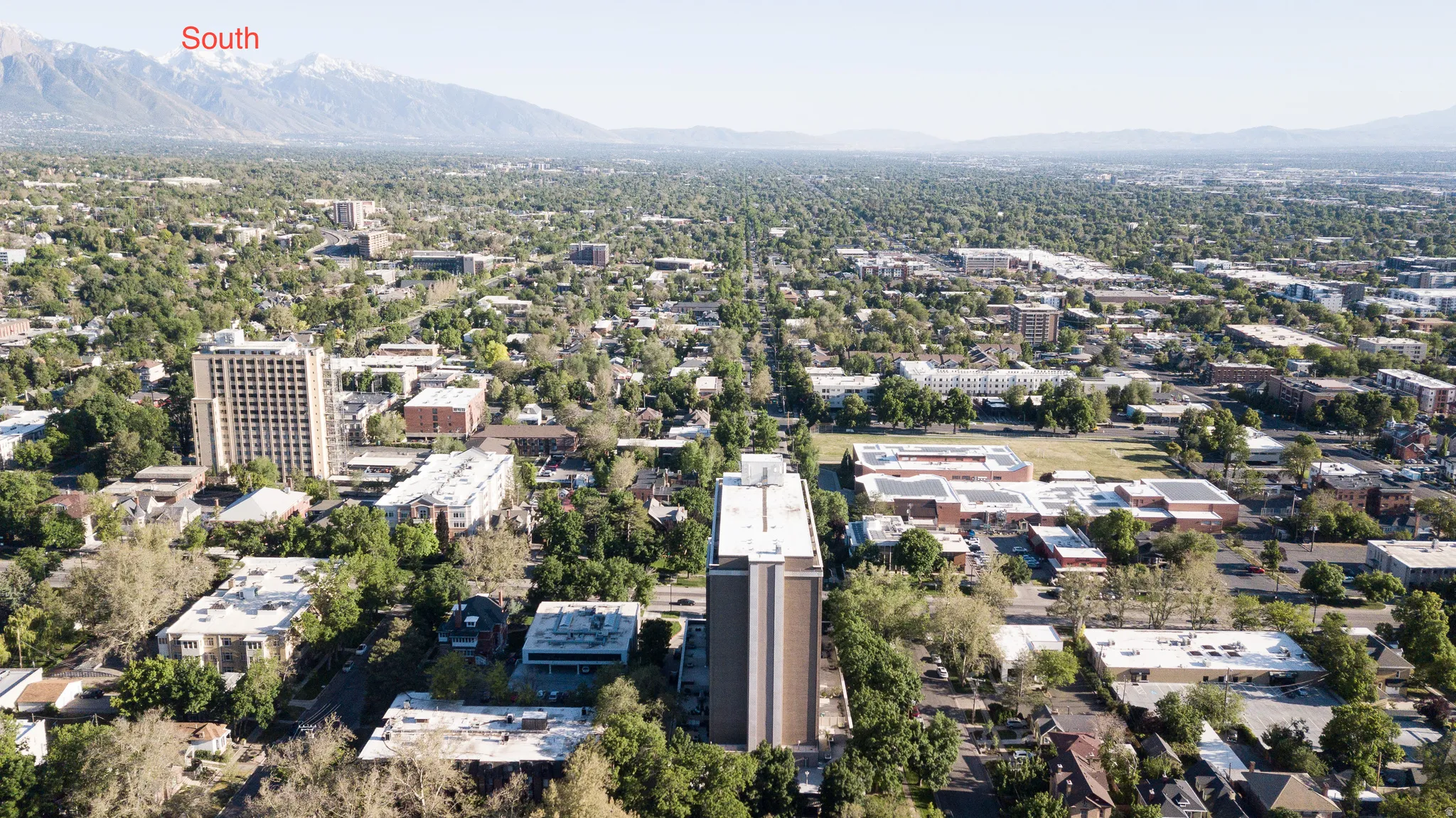 Expansive urban landscape featuring a dense tree canopy, a prominent high-rise building with a flat roof, and distant snow-capped mountains