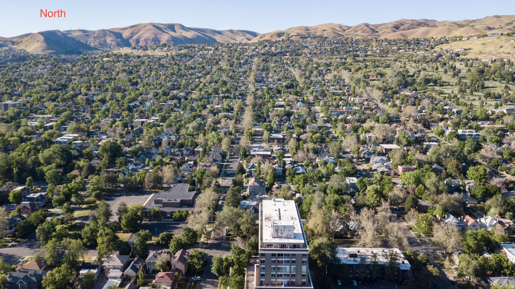 Urban landscape featuring a prominent multi-story building, extensive tree canopy, and distant mountains