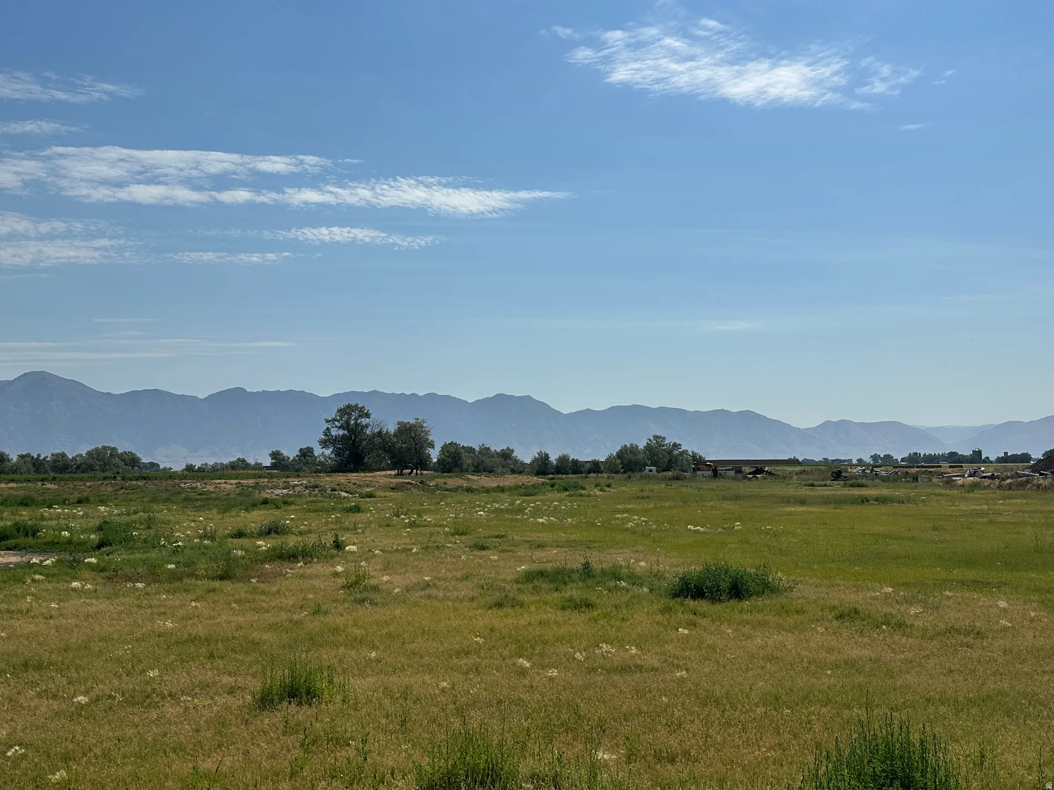 Expansive open field with natural grasses and distant mountain ranges under a clear sky