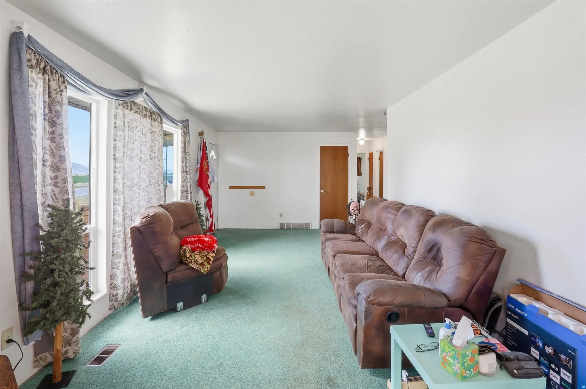Living area with light green carpeting