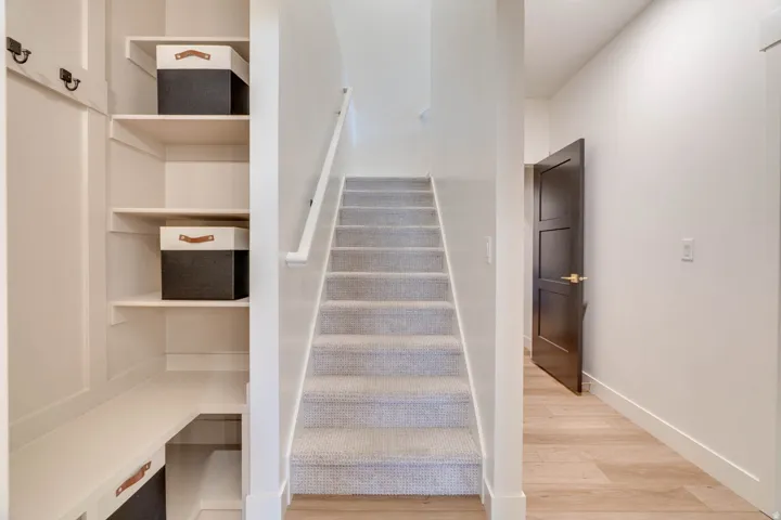 Carpeted staircase with white handrail, light wood-finish flooring, and a dark panel door