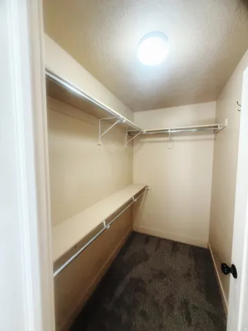 Walk-in closet featuring built-in shelving, two clothing rods, a flush-mount ceiling light, and wall-to-wall carpeting