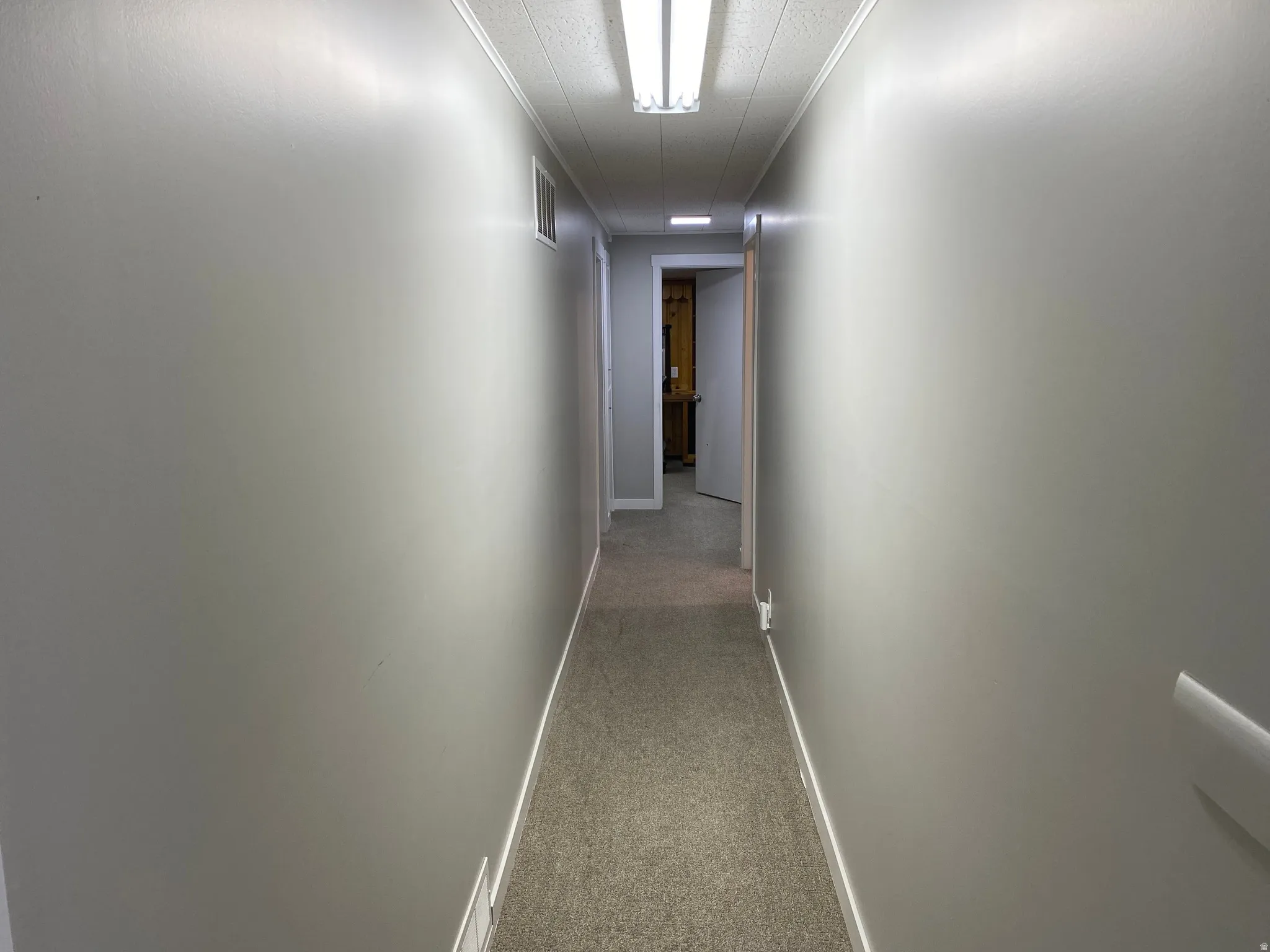 Hallway featuring light gray walls, white trim, and carpet flooring