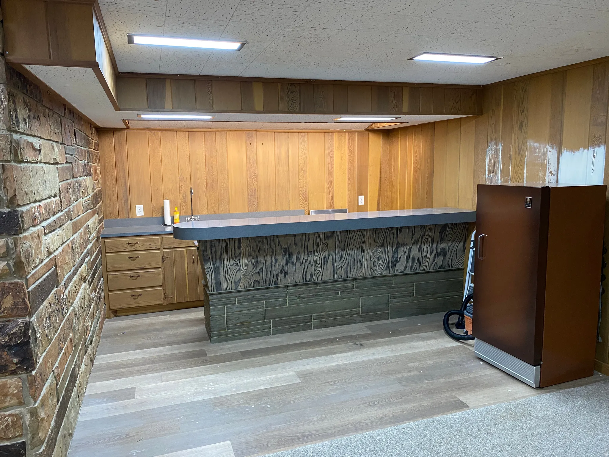 Entertainment area featuring a wet bar with a built-in sink and wood-finish cabinetry