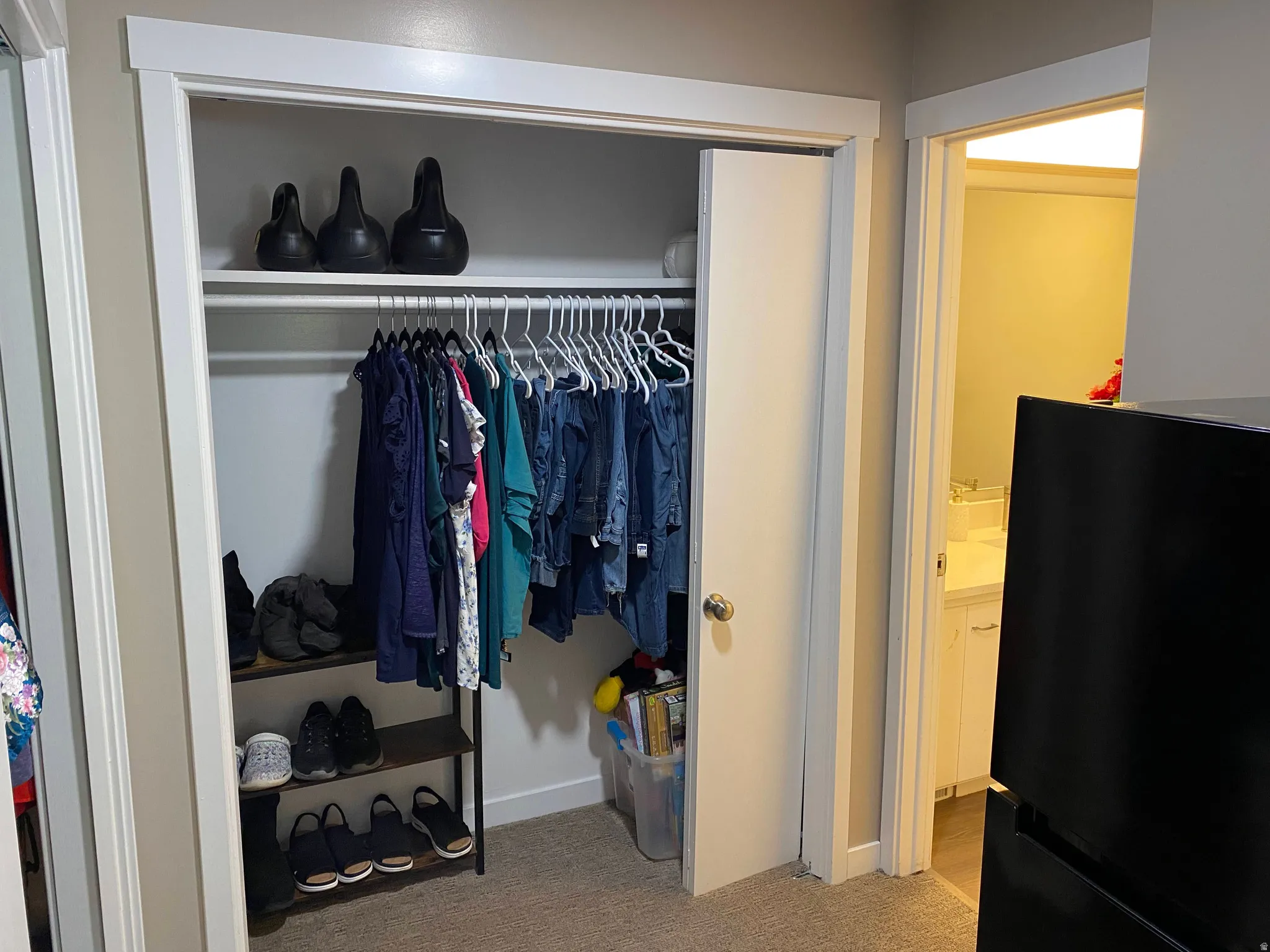 Recessed closet featuring an upper shelf, clothing rod, and neutral carpet flooring