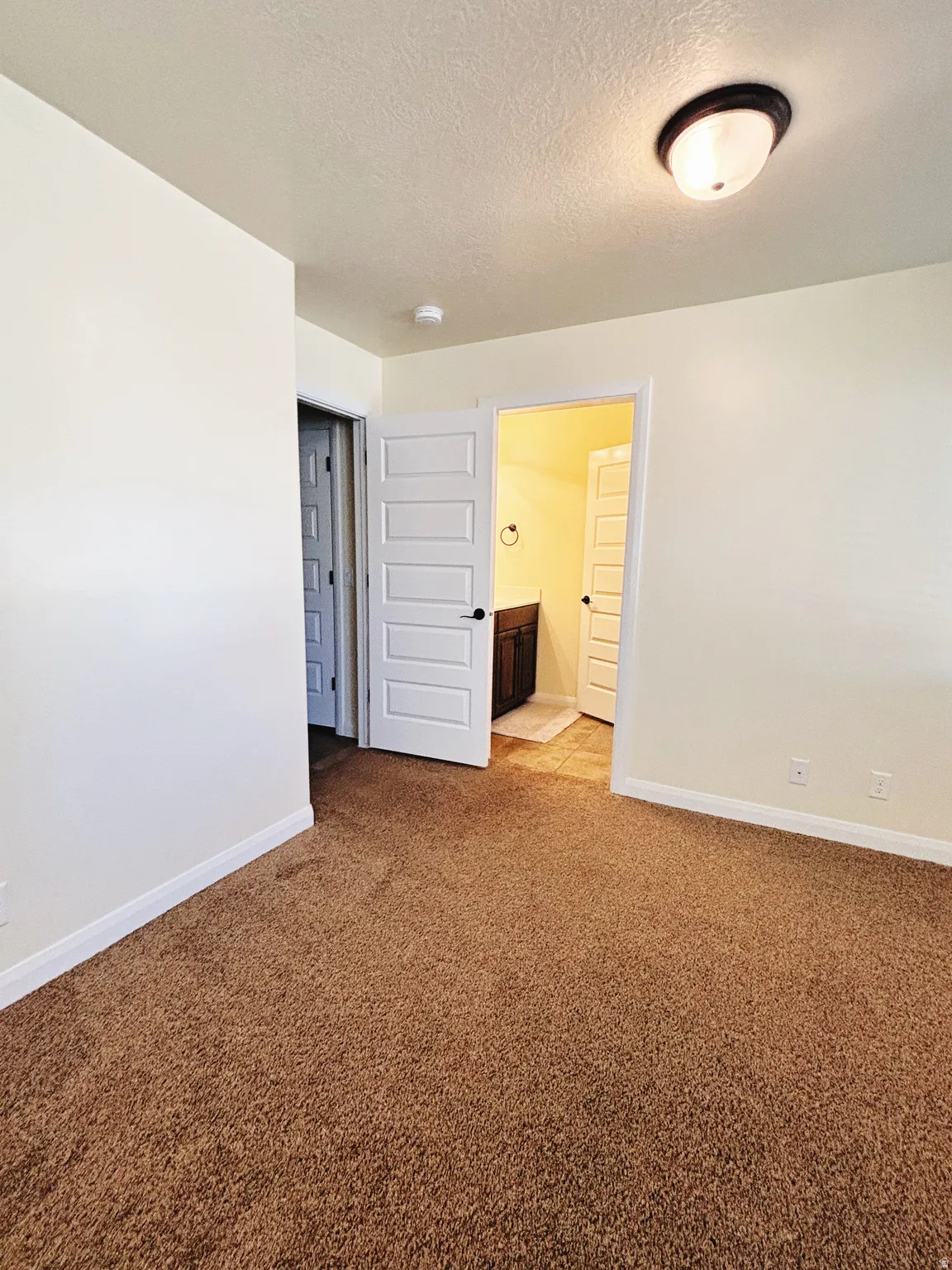 Carpeted interior space with white walls and a ceiling-mounted light fixture