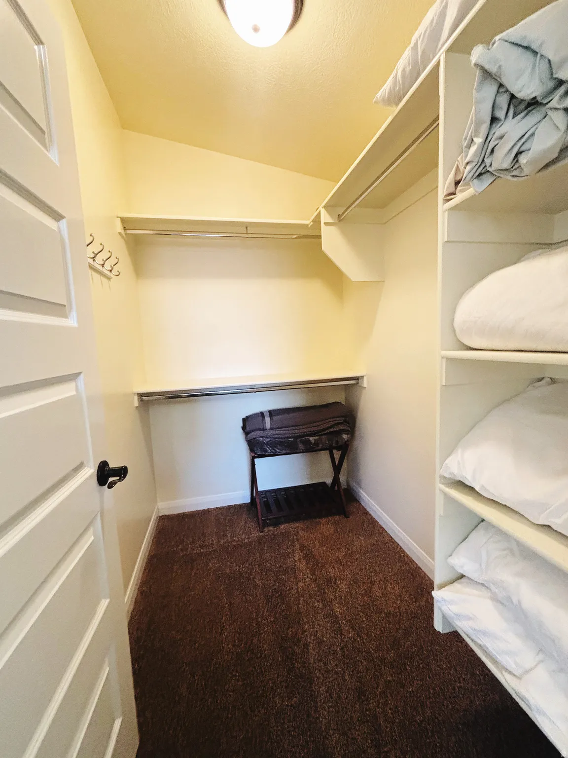 Walk-in closet with brown carpet flooring, built-in shelving, hanging rods, and a ceiling-mounted light fixture