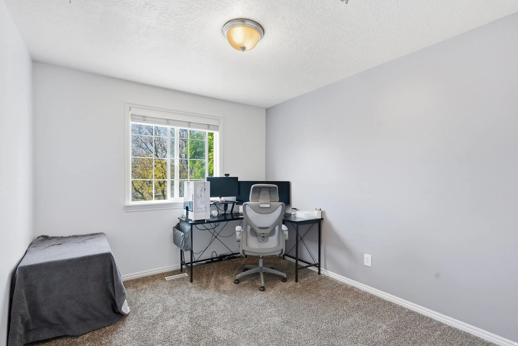 Room featuring a large window, carpeted flooring, light gray wall paint, white trim, and a ceiling-mounted light fixture
