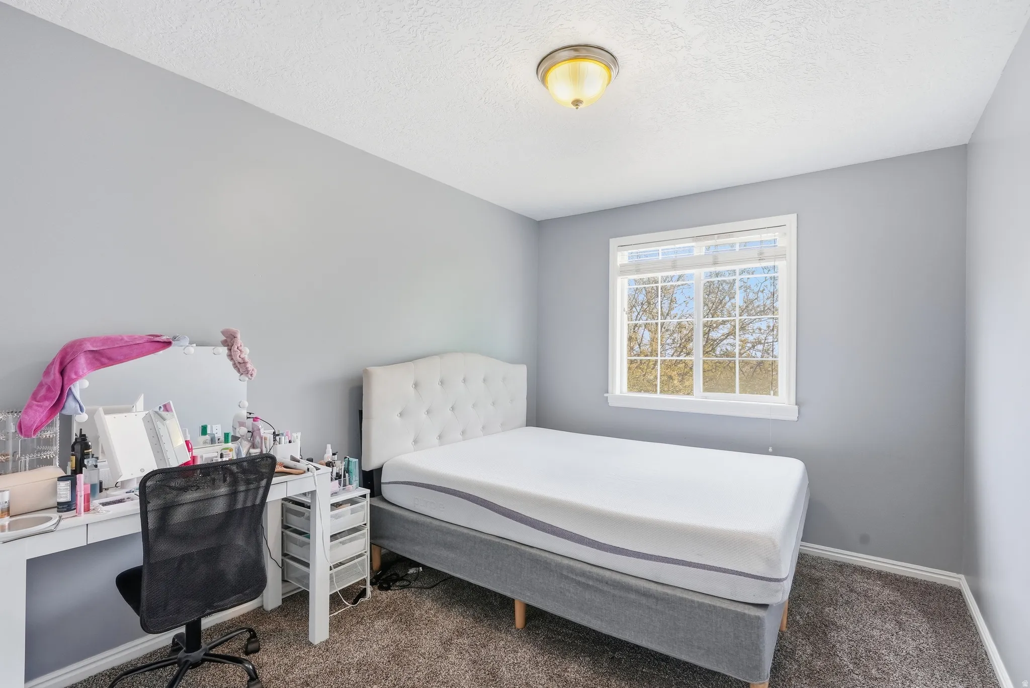 Carpeted room with a multi-pane window and neutral gray walls
