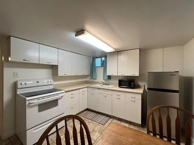 Basement Kitchen