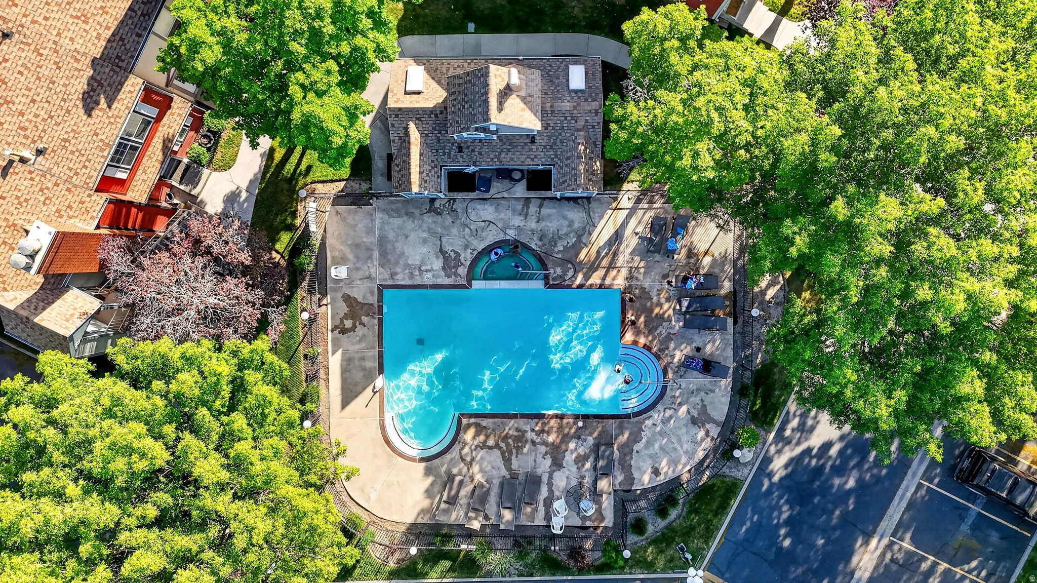 Outdoor swimming pool with integrated spa, surrounded by a concrete deck and mature trees