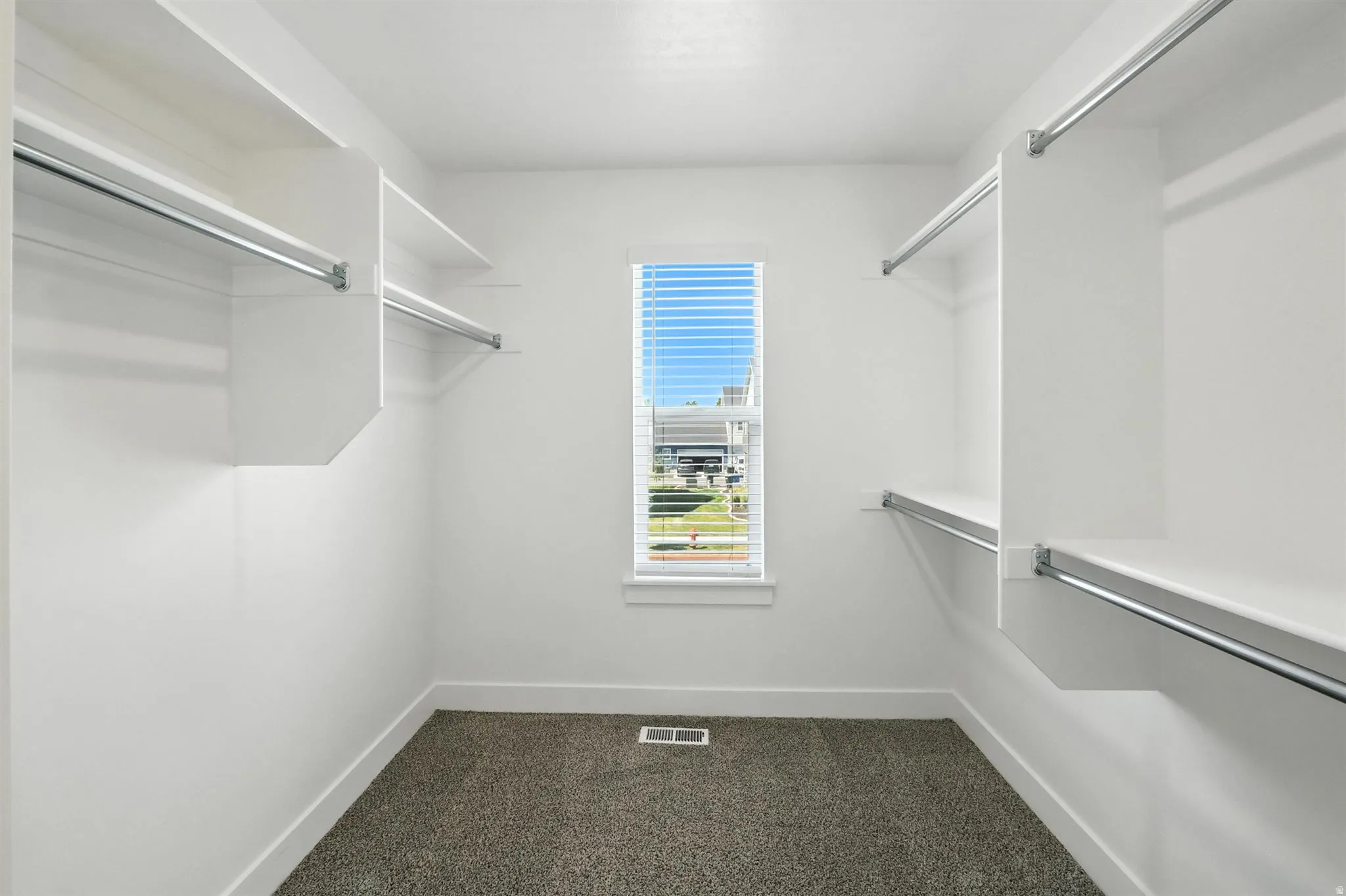 Walk-in closet featuring built-in shelving, chrome hanging rods, a window with blinds, white trim, and carpet flooring