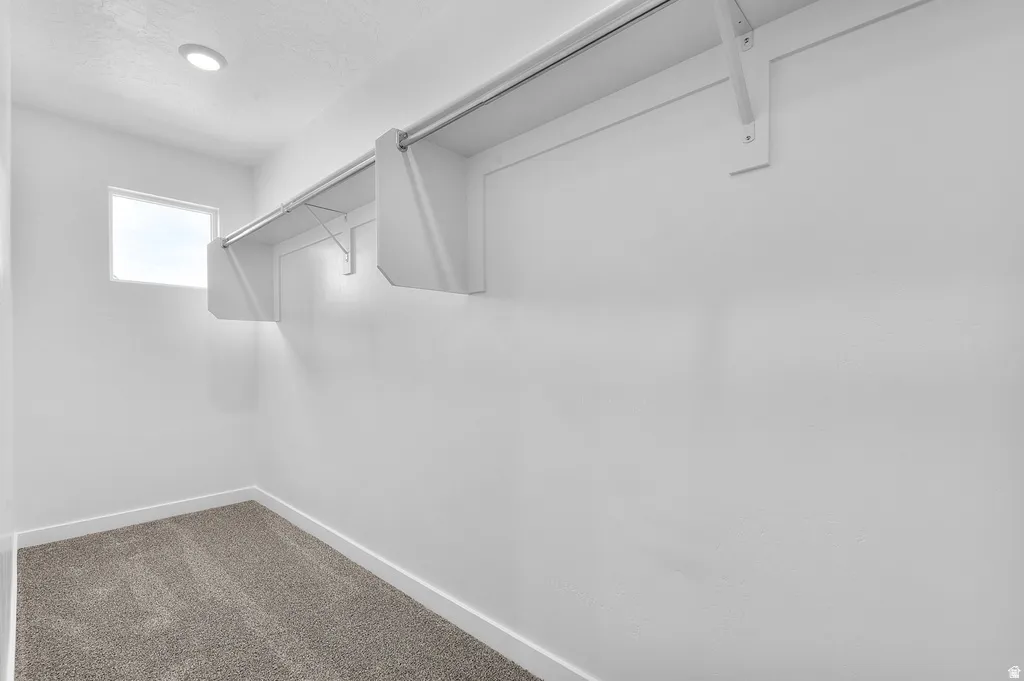 Walk-in closet featuring built-in shelving, hanging rod, recessed lighting, small window, and carpet flooring