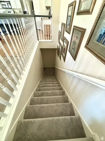 Carpeted staircase with white balusters and dark-finished handrail