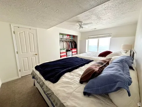 Carpeted room featuring a ceiling fan, window with blinds, and built-in closet shelving