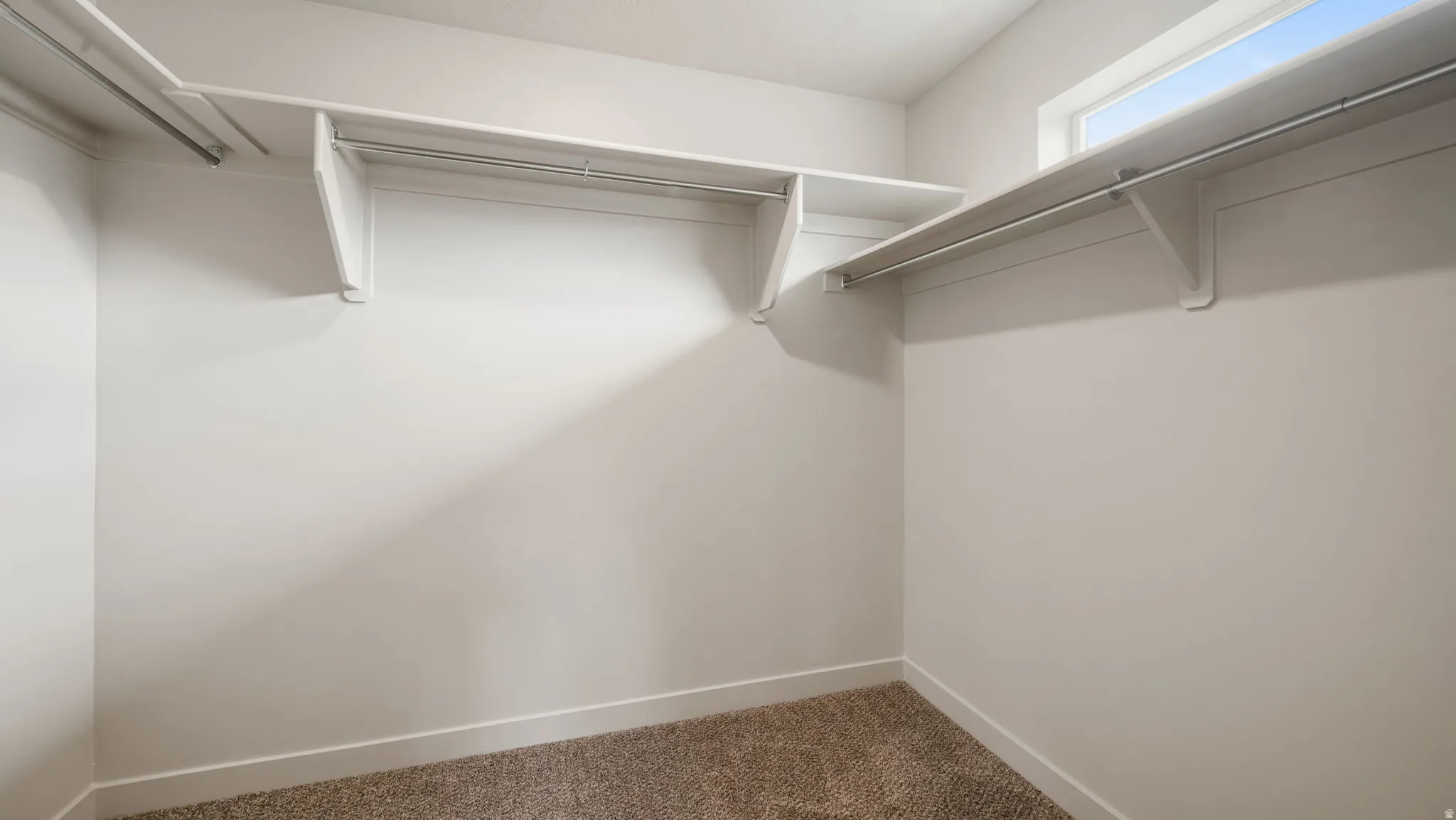 Walk-in closet featuring white shelving, hanging rods, an upper window, and carpet flooring