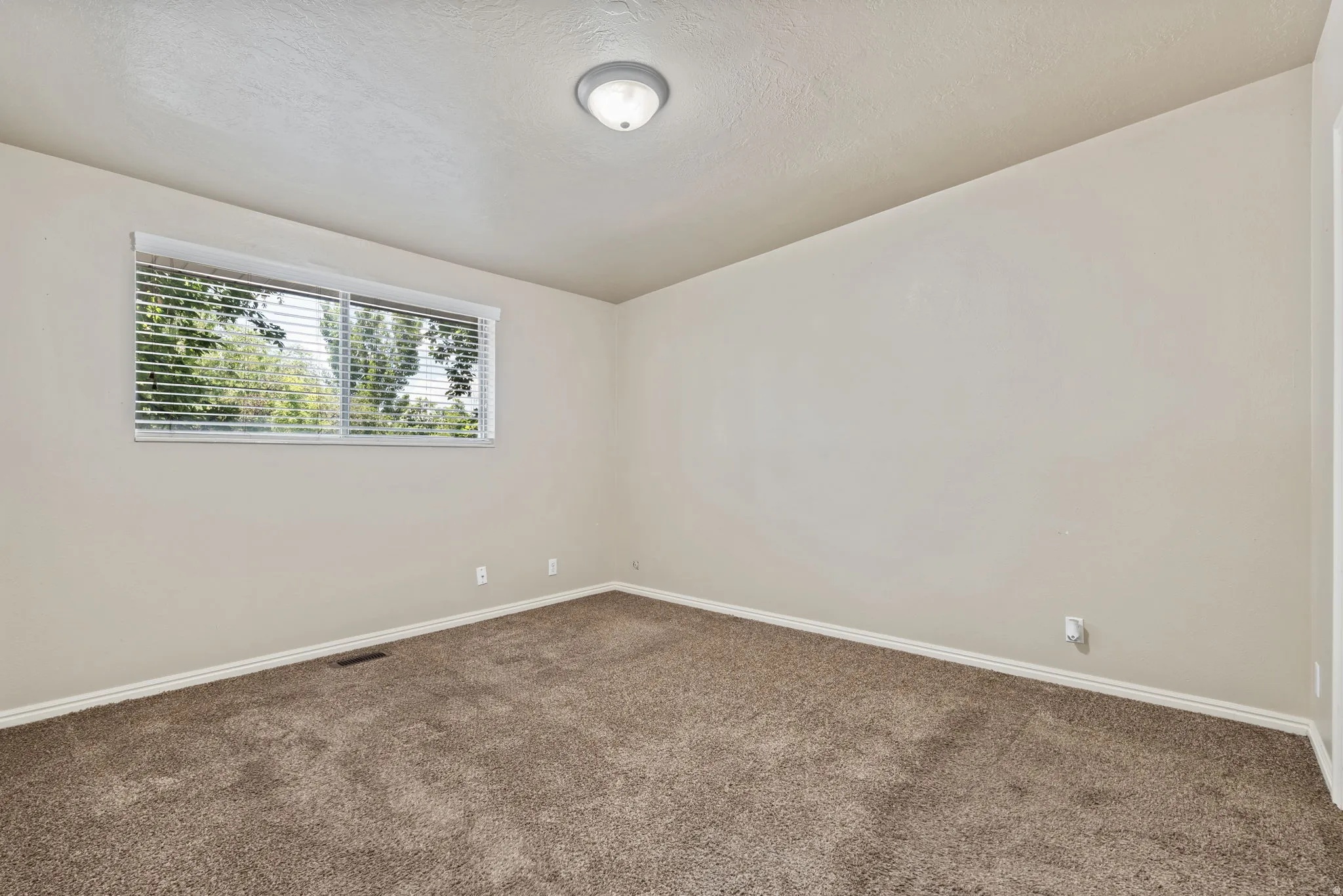 Carpeted room featuring a large window with blinds, a ceiling-mounted light fixture, and neutral-toned walls
