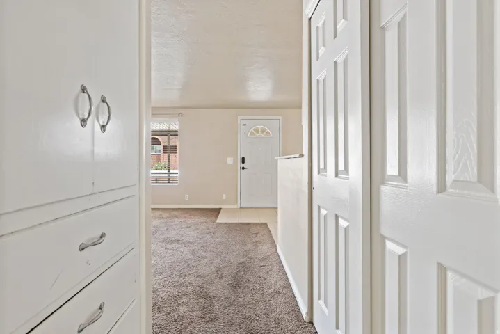 Entryway featuring white six-panel doors, built-in storage cabinetry with decorative pulls, and carpeting