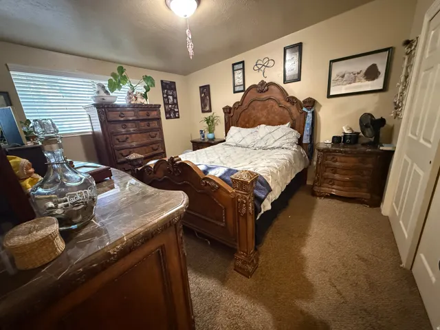 Carpeted bedroom featuring a window with horizontal blinds, built-in ceiling light fixture, and warm-toned wall paint