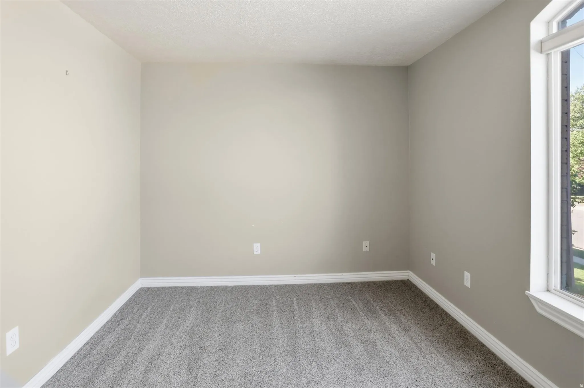 Neutral-toned walls complement the grey carpet flooring