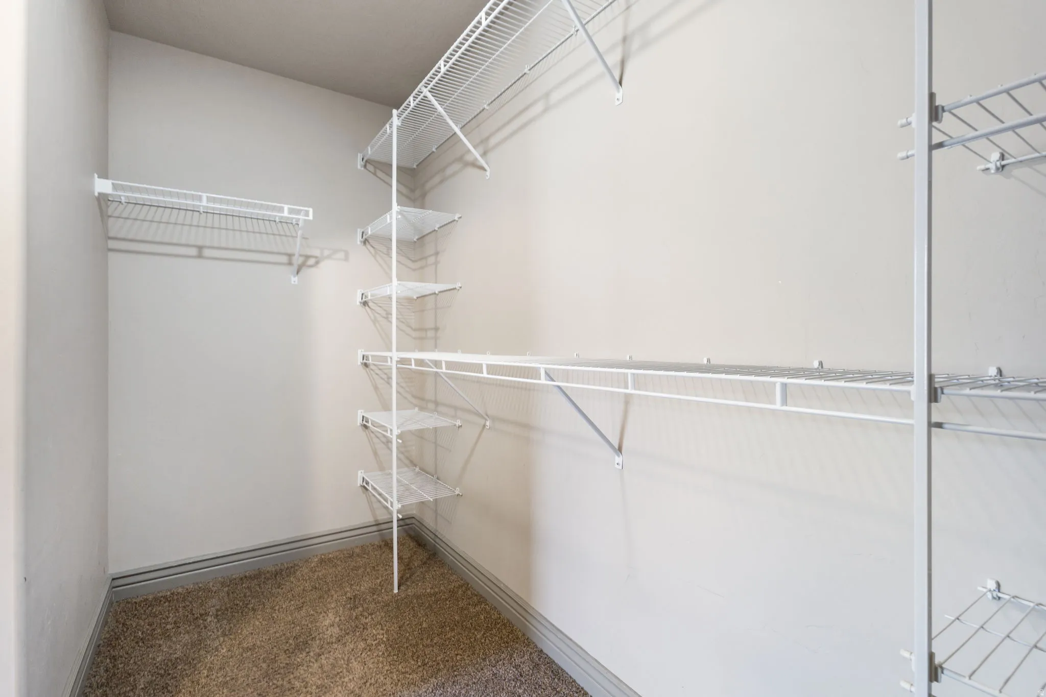 Master Walk-in closet with ample storage, featuring light gray walls and brown carpet flooring