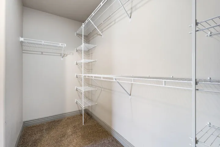 Master Walk-in closet with ample storage, featuring light gray walls and brown carpet flooring