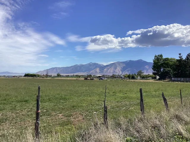 Expansive green field with distant mountain range backdrop