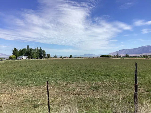Expansive green field under a broad sky, featuring distant mountains and a body of water