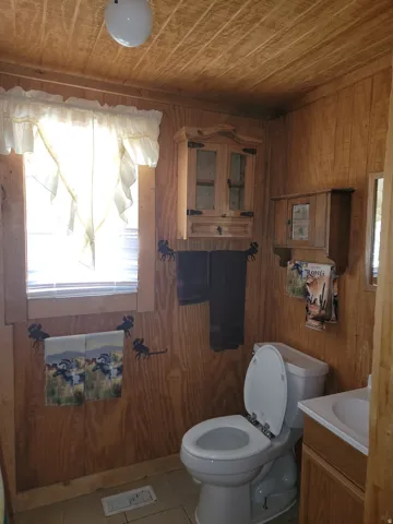 Wood-paneled interior featuring a window with white blinds, a white toilet, and a vanity with an integrated sink
