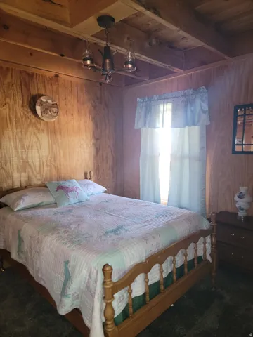Wood-paneled room featuring exposed beam ceiling, a window with light filtering curtains, and plush green carpeting