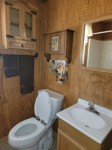 Bathroom featuring wood-finish wall paneling, a white toilet, and a vanity with a white countertop and integrated sink
