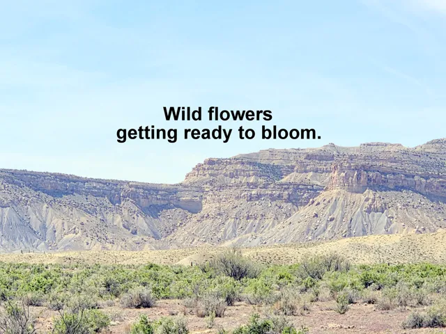 Every Spring and sometimes in the Fall as well.