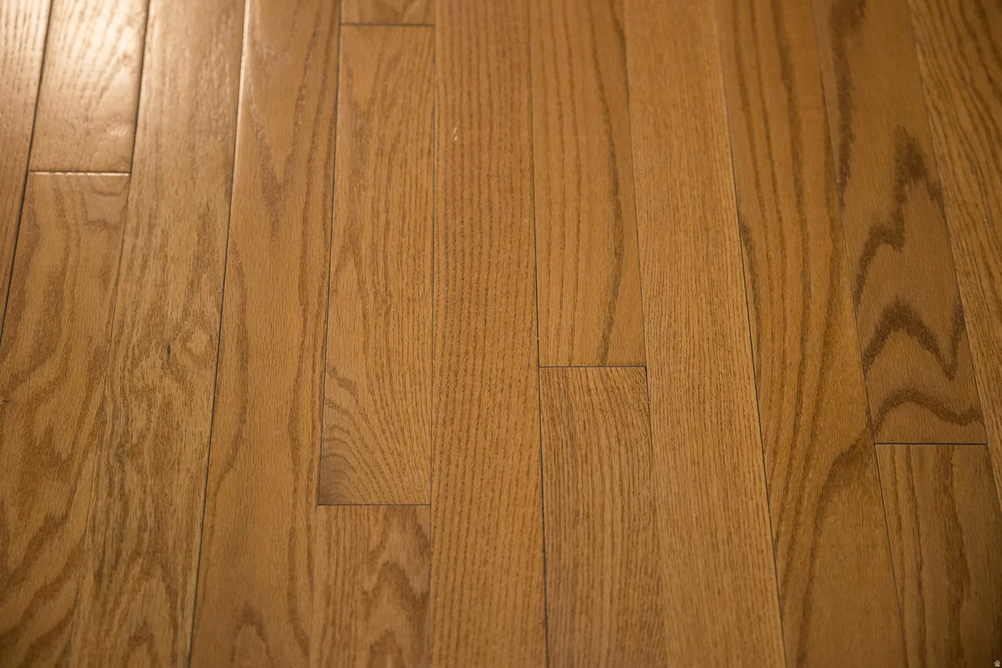 Warm-toned wood-finish flooring with a visible grain pattern