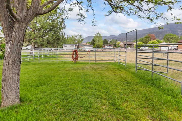 Expansive grassy area featuring metal fencing, a partial tree, and distant mountains