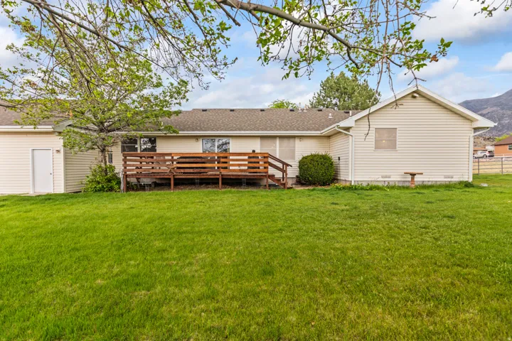 Expansive backyard with verdant lawn, featuring a wood deck, mature trees, and vinyl siding