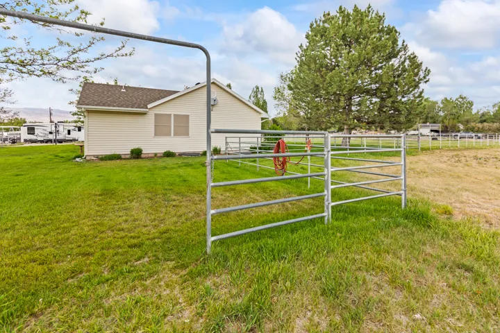 Expansive green space featuring a large metal gate and fencing, a mature pine tree, and a single-story residence with horizontal siding