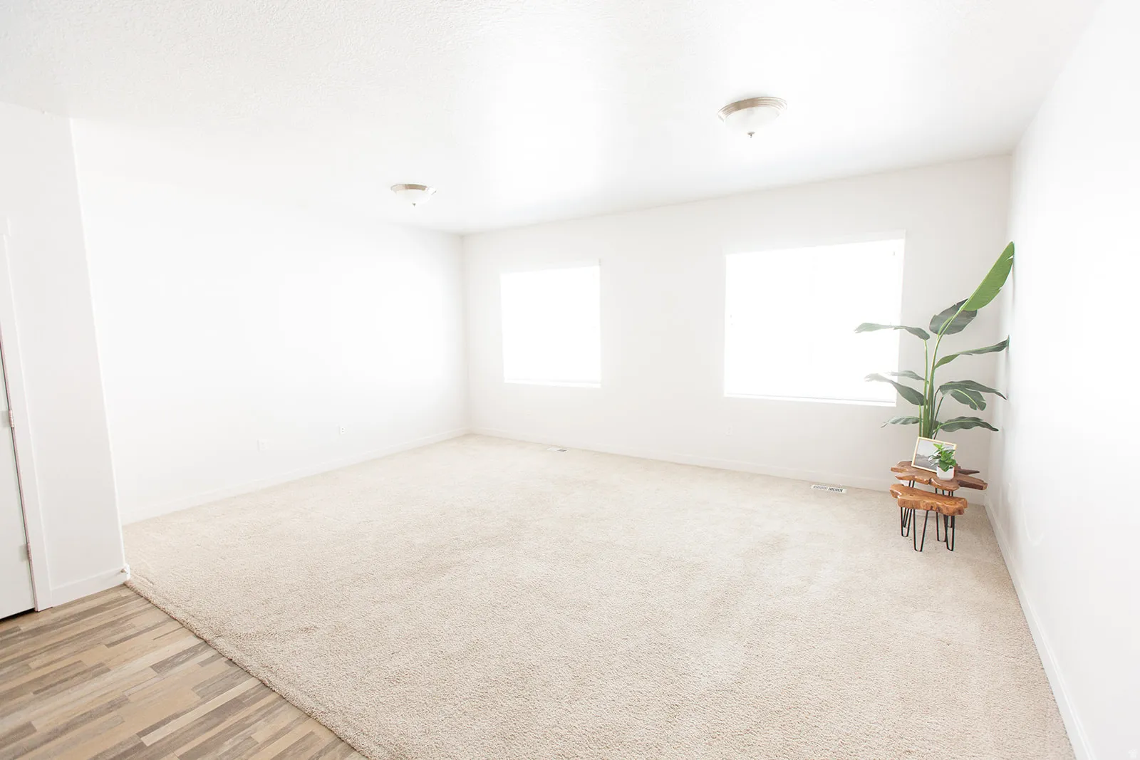Spacious room featuring neutral carpet flooring and white walls